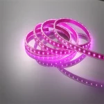 DC 12V/24V led strip light 5050 SMD White strip 5M/10M 60led flexible tape led waterproof decoration lighting rope