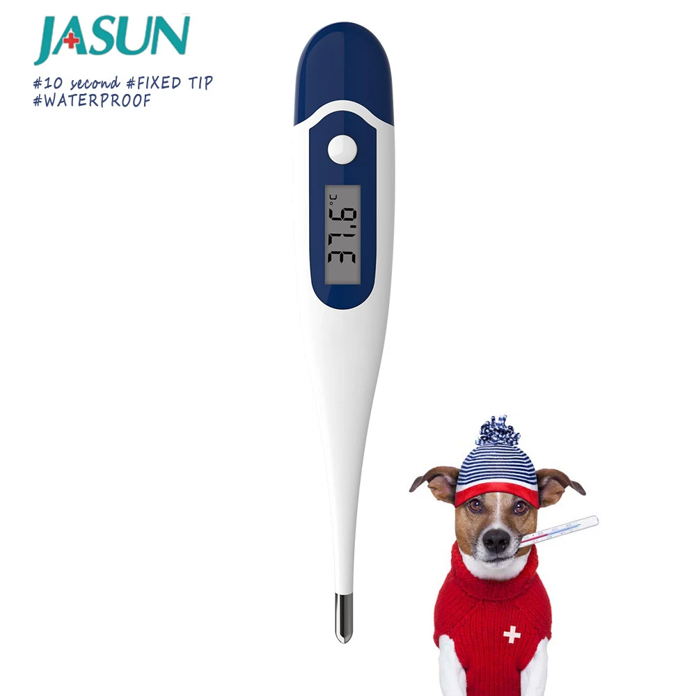 Digital Portable Min Max Thermometer Human Body Temperature Measuring Instruments