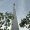 Disguised Pine Tree  Telecoummunication  Tower for Broadcasting Industry