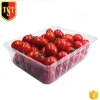 Disposable Fruit And Vegetable Blister Packaging