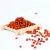 Import dried fruit seabuckthorn berry organic natural dry fruit from China