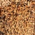 Import Dried Split Kiln Firewood / Dried Split Oak Firewood / Dried Split Birch Fire from South Africa