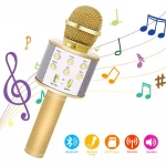 Dropshipping Wireless Handheld KTV Microphone Speaker Recorder