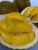 Import Durian Musang King from Malaysia