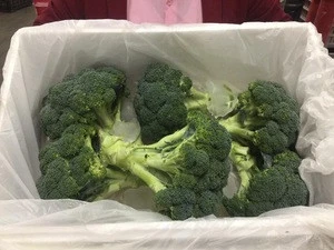 egyptian fresh broccoli high quality A