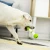 Import Electric  pet dog toy hard rubber dog toys tooth cleaning bone chew toy dog interactive Korean sets smart from China