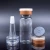 Import empty vaccine bottles 2ml 3ml 5ml 10ml clear glass injection vaccine bottle vial pharmaceutical with rubber stopper aluminum cap from China