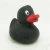 Import EN 71High quality bath toy black rubber duck from China