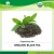Import EU NOP Certified Organic Black Tea from China