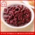 Import Export canned red kidney beans supplier from China