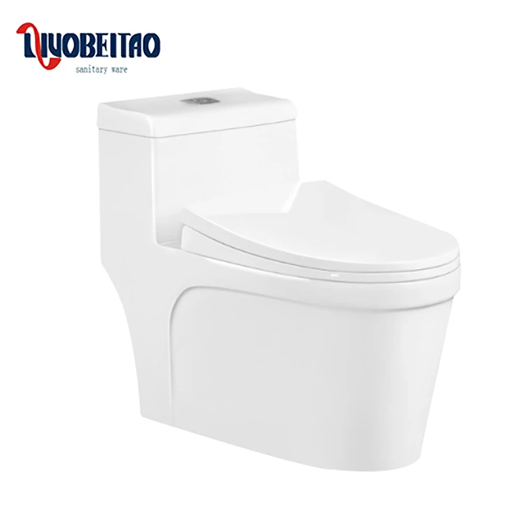 Factory direct price modern style ceramic big size water closet in China