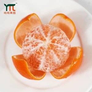 Factory Direct Sale Rich Content Of Organic Matter Fresh Citrus Fruit