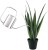 Import Factory direct supply Watering Can Stainless Steel Watering Pot  for Outdoor Garden Plants Houseplant from China