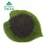Import Farm Agriculture Diammonium Phosphate Organic Fertilizer DAP fertilizer from China