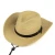 Import fashion cheap string  cowboy  felt  straw hat from China