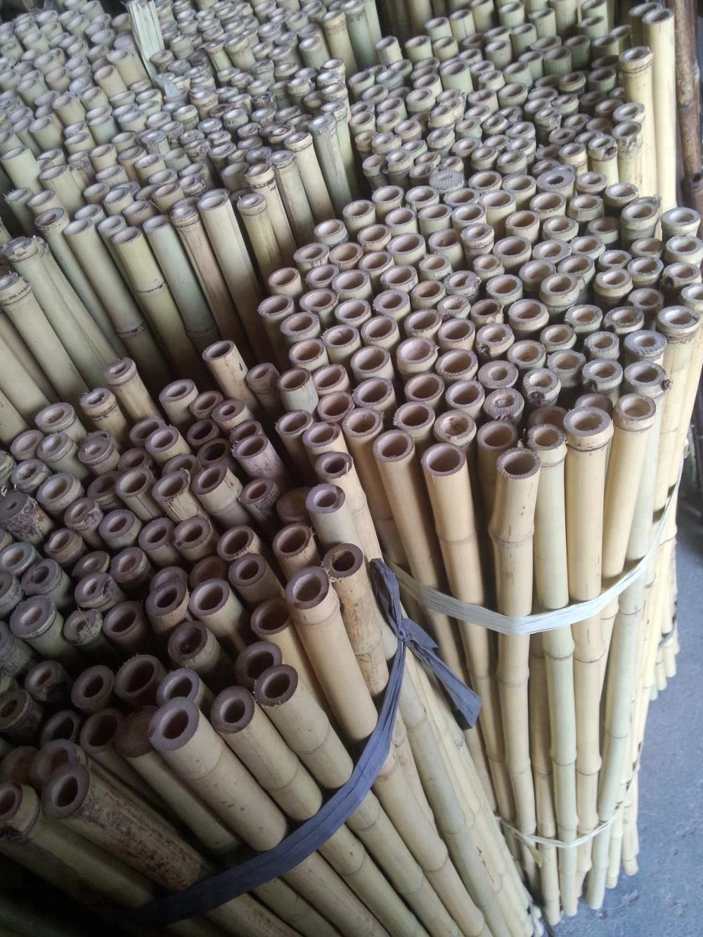 FD- raw material yellow tonkin Bamboo Poles Grabbing pole