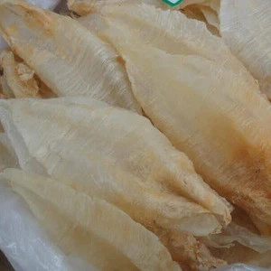 Fish Maw/dried fish maw/dried seafood