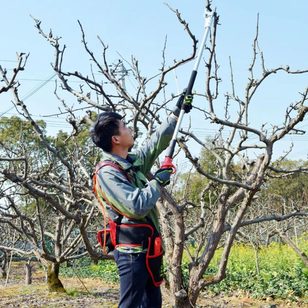 FPQ vineyard poles fruit picking scissor/electric pruning shear/ferramentas trimmer