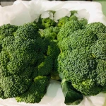 Fresh Broccoli/ Wholesale bulk fresh broccoli price