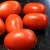 Import Fresh Cherry Tomatoes Raw Green Tomatoes 100% Quality from South Africa