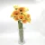 Import Fresh Cut Flower Champagne Gerberas For Wedding Flower from China