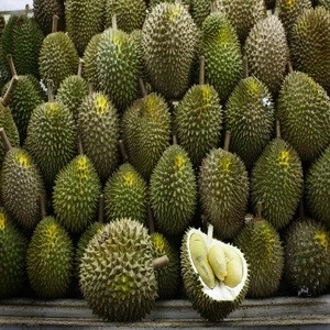 Fresh Durian From Thailand Grade AAA Perfectly Selected for Export