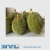Import FRESH DURIAN WITH HIGH QUALITY from Vietnam