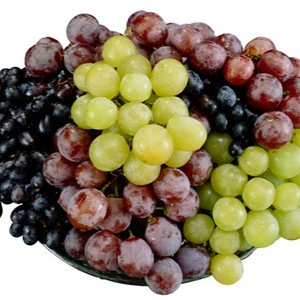 FRESH GRAPES Black Sonaka Grapes,Thompson Grapes,Flame Grapes