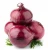 Import Fresh Onions/ Yellow Onion/ red onion from Europe from Austria