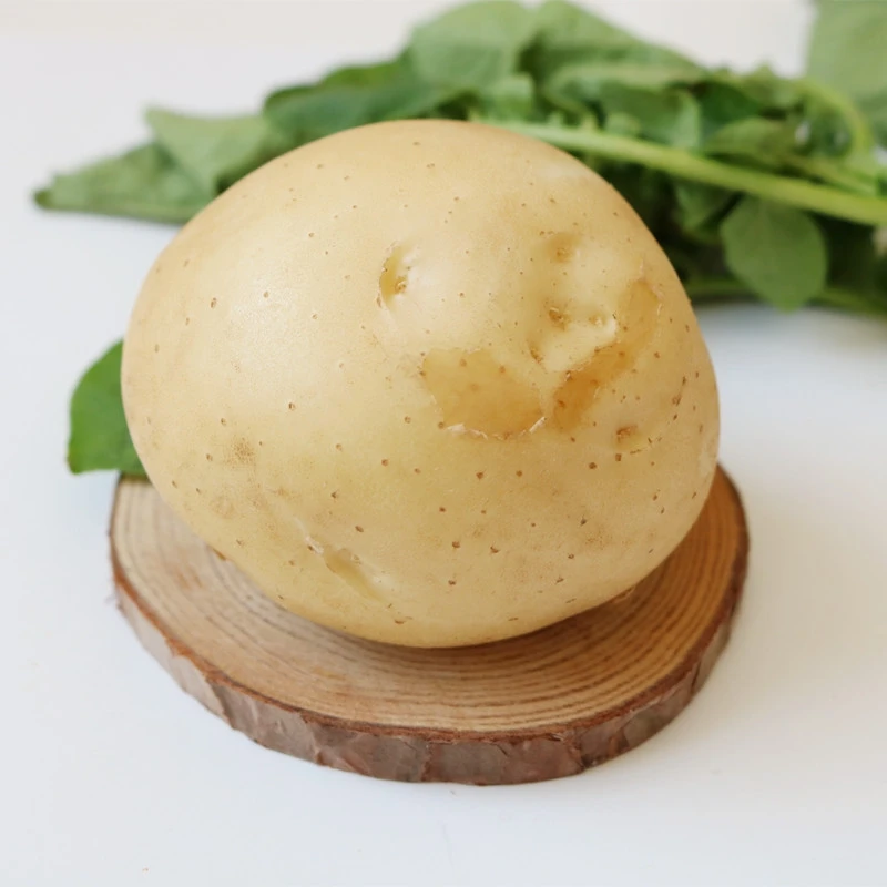 Fresh Organic Wholesale Sweet Fresh Price Potato Per Ton Canada