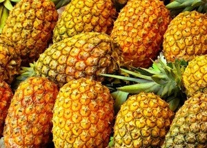 Fresh Quality Pineapples Now Available on 30% Discount Ready for Exportation
