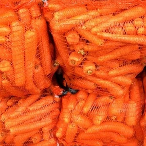 Fresh Sweet Carrots available for Exportation