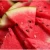 Import Fresh sweet Water Melons from South Africa