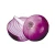 Import Fresh Vegetables German Small Onion Exporters from Germany