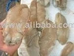Frozen Abalone meat