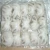 Import frozen baby octopus from United Kingdom