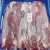 Import Frozen Buffallo Meat from Philippines