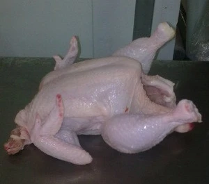 Frozen Halal Whole Chicken with EU Standard
