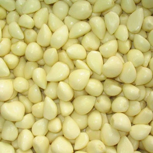 FROZEN IQF FRESH PEELED GARLIC CLOVES WITH BEST PRICE FOR WHOLESALE FROM VIETNAM