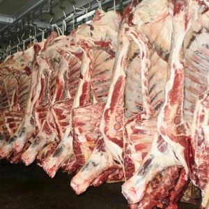 Frozen Meat Kangaroo Meat/Halal Kangaroo Meat/Cheap Kangaroo Meat, Australian Origin Kangaroo Meat