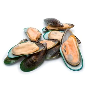 Frozen Mussels in Shell now available in different sizes all year round