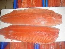 Frozen Salmon Fillet,Fresh Frozen Salmon Fish ,Frozen Chum Salmon Fillet for sale