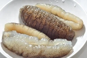 Frozen Sea Cucumber and Quality Dried Sea Cucumber