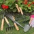 Import garden tools and equipment for beginners 8 pieces garden best gifts from China