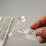 glass histology prepared slides with ce certificate for teaching and learning