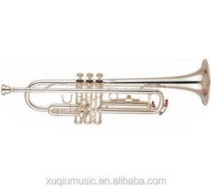Golden Lacquered Yellow Brass trumpet, C key Student Trumpet