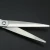 Import "GOLDOLLAR 201"stainless steel Household barber hair scissors 5.5 inch set of two piece from China