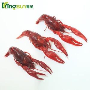 Buy Good Taste Wholesale Frozen Whole Round Crayfish/crawfish In Lobster  from Shandong Kingsun Foods Co., Ltd., China