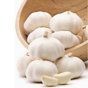 Grade A Fresh Natural Garlic Price - New crop, Hot sales