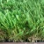 Import green landscaping artificial grass thick artificial grass natural grass for garden from China